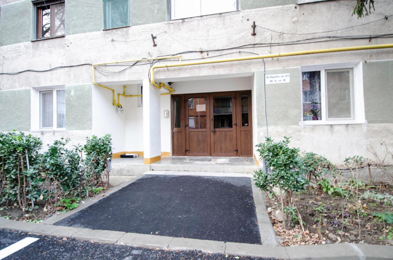 Miha Modern And Central Apartament 阿拉德 外观 照片
